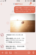 line