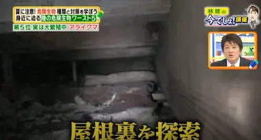 害獣・害虫駆除業者 メディア出演シーン1