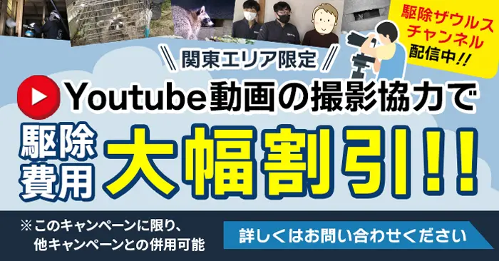 関東エリアの方限定、Youtube動画の撮影協力で駆除費用大幅割引!詳しくはお問い合わせください※このキャンペーンに限り、他キャンペーンとの併用可能